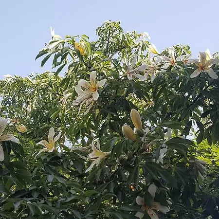 Raggio Di Sole Alojamento de Acomodação e Pequeno-almoço