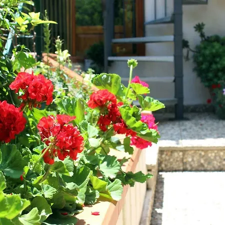 Raggio Di Sole Bed & Breakfast Macari