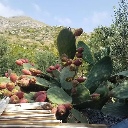 Raggio Di Sole Macari