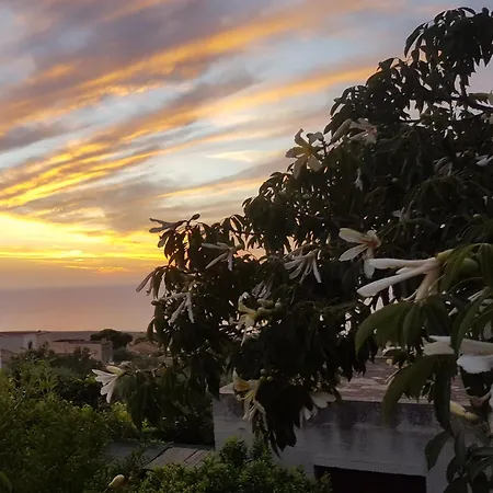 Raggio Di Sole Macari