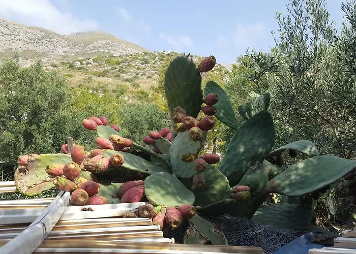 Raggio Di Sole Macari